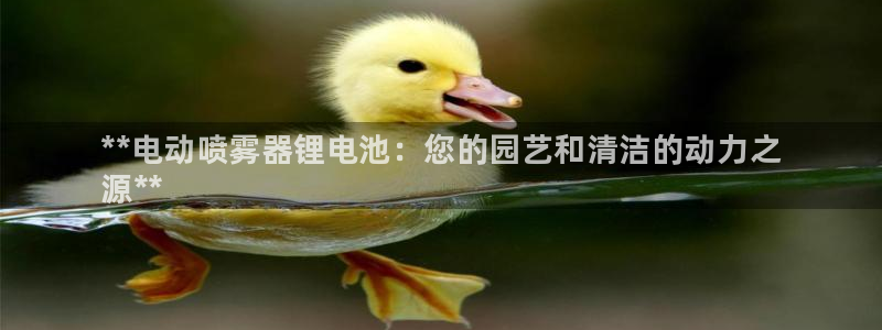 尊龙d88用现推选ag发财网：**电动喷雾器锂电池：您的园艺和清洁的动力之
源**