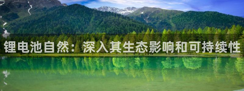 尊龙2021年最新消息：锂电池自然：深入其生态影响和可持续性
