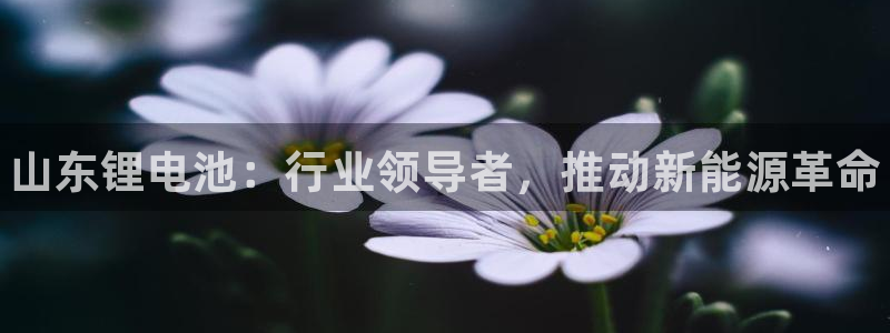 尊龙官网手机版下载：山东锂电池：行业领导者，推动新能源革命