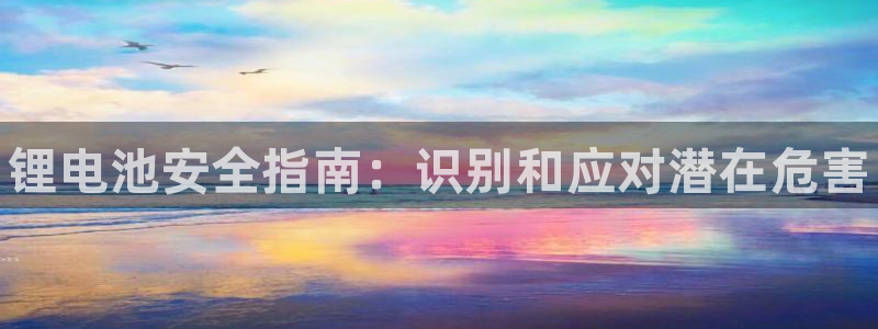 尊龙凯时官网平台