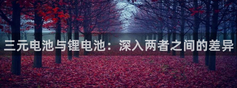 AG尊龙凯时注册