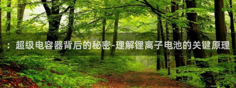 d88尊龙平台开户