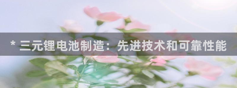 凯时ag旗舰厅：* 三元锂电池制造：先进技术和可靠性能