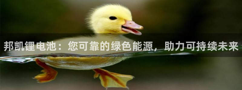 尊龙凯时只输不赢：邦凯锂电池：您可靠的绿色能源，助力可持续未来